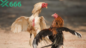 Cách đăng ký tài khoản Tx666 nhanh gọn chỉ với vài bước đơn giản