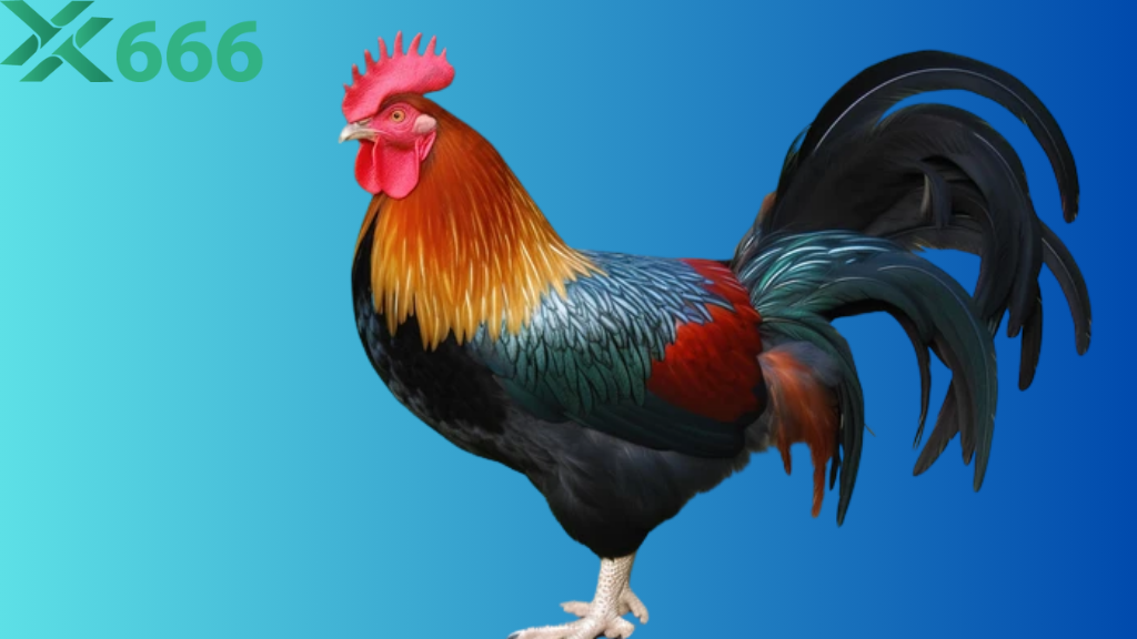 Hướng dẫn cách liên hệ đội hỗ trợ Tx666 khi gặp sự cố tài khoản