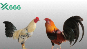 Top 5 trò chơi hấp dẫn nhất trên Tx666 được cược thủ bình chọn 2025