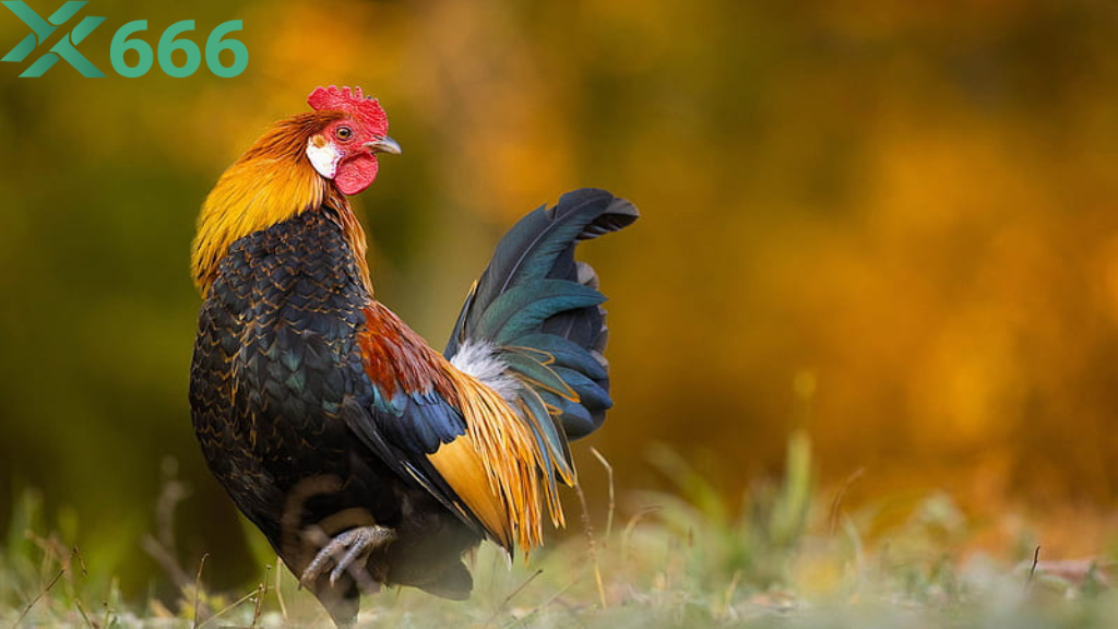 Review tốc độ nạp và rút tiền thực tế của người dùng trên Tx666